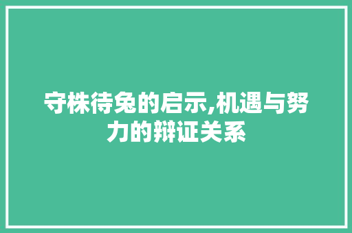 守株待兔的启示,机遇与努力的辩证关系