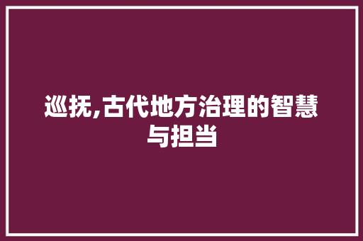巡抚,古代地方治理的智慧与担当