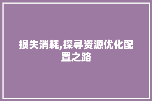 损失消耗,探寻资源优化配置之路