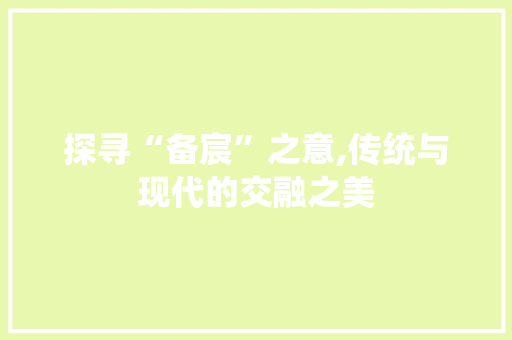 探寻“备宸”之意,传统与现代的交融之美