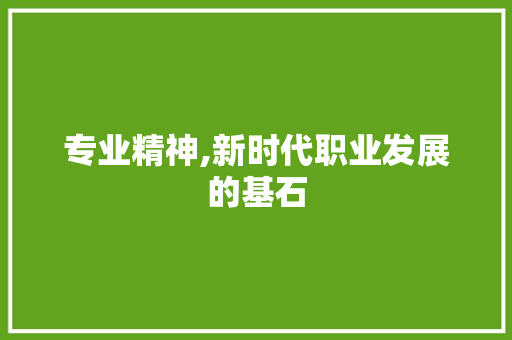 专业精神,新时代职业发展的基石 财务报告范文