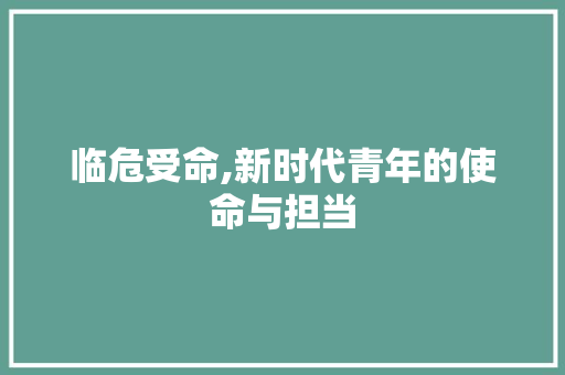 临危受命,新时代青年的使命与担当