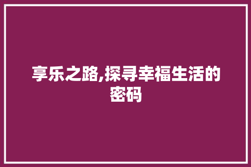 享乐之路,探寻幸福生活的密码