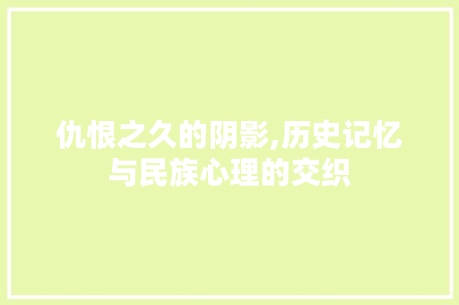 仇恨之久的阴影,历史记忆与民族心理的交织