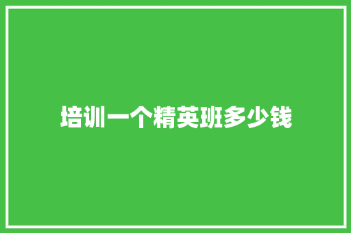 培训一个精英班多少钱