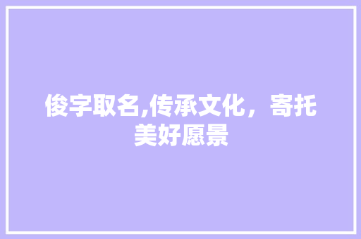俊字取名,传承文化，寄托美好愿景 项目管理范文