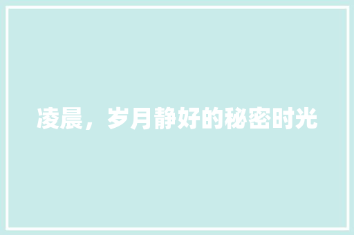 凌晨，岁月静好的秘密时光
