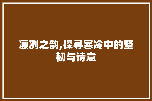 凛冽之韵,探寻寒冷中的坚韧与诗意