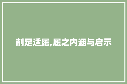 削足适履,履之内涵与启示