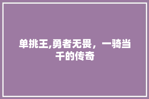 单挑王,勇者无畏，一骑当千的传奇