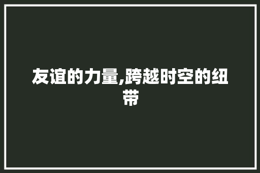 友谊的力量,跨越时空的纽带
