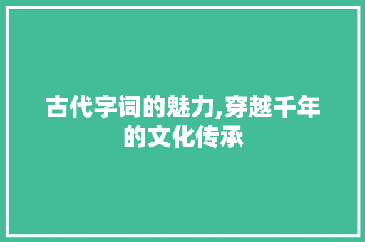 古代字词的魅力,穿越千年的文化传承
