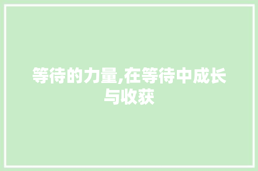 等待的力量,在等待中成长与收获
