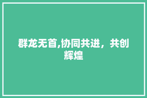 群龙无首,协同共进，共创辉煌 演讲稿范文