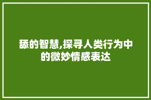 舔的智慧,探寻人类行为中的微妙情感表达