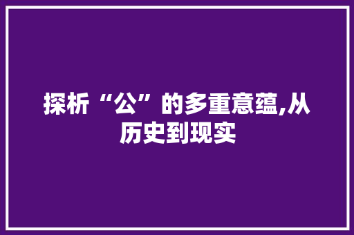探析“公”的多重意蕴,从历史到现实