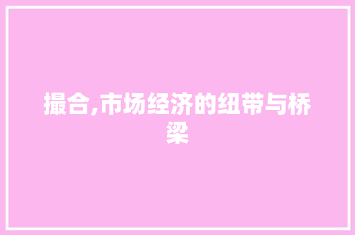 撮合,市场经济的纽带与桥梁 财务报告范文