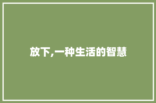 放下,一种生活的智慧 创作范文