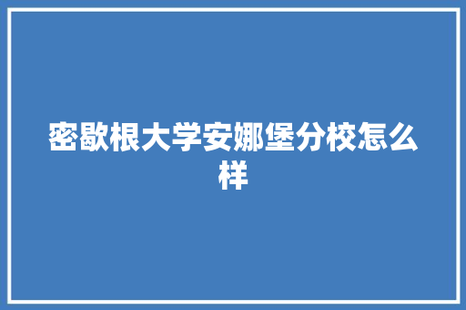 密歇根大学安娜堡分校怎么样