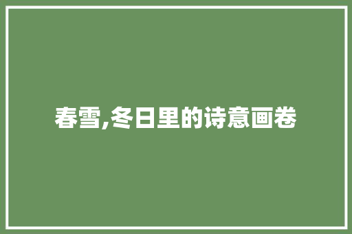 春雪,冬日里的诗意画卷