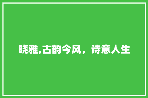 晓雅,古韵今风，诗意人生 项目管理范文