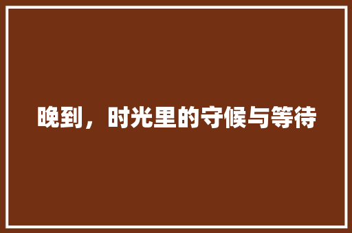 晚到，时光里的守候与等待