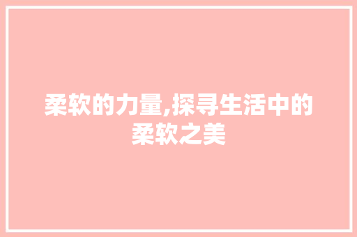 柔软的力量,探寻生活中的柔软之美