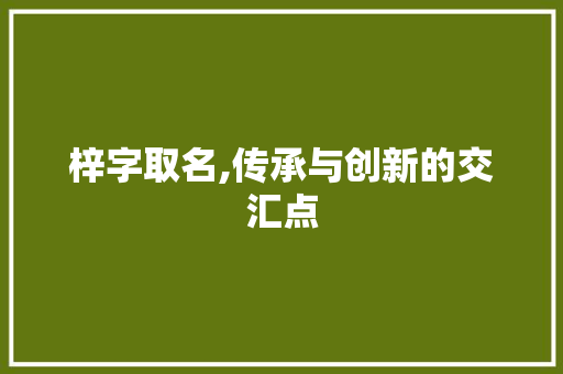 梓字取名,传承与创新的交汇点