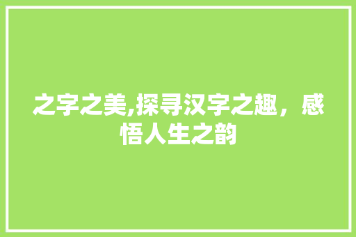 之字之美,探寻汉字之趣，感悟人生之韵