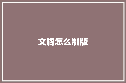 文胸怎么制版