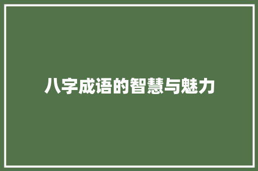 八字成语的智慧与魅力