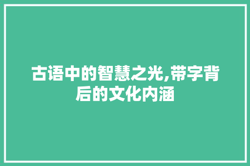 古语中的智慧之光,带字背后的文化内涵 项目管理范文