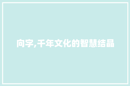 向字,千年文化的智慧结晶