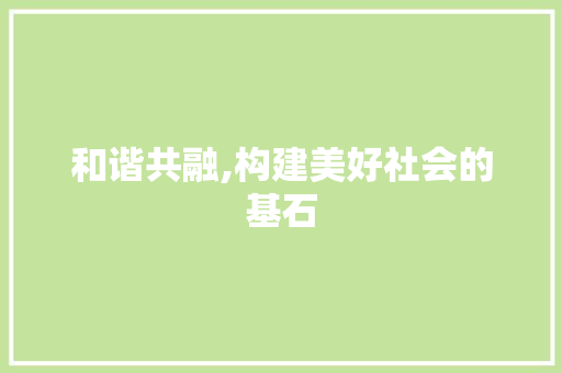和谐共融,构建美好社会的基石