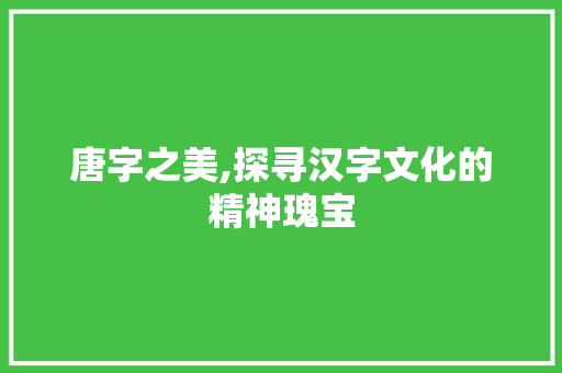 唐字之美,探寻汉字文化的精神瑰宝 诗句鉴赏