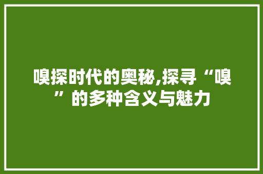 嗅探时代的奥秘,探寻“嗅”的多种含义与魅力