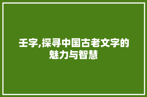 壬字,探寻中国古老文字的魅力与智慧 项目管理范文