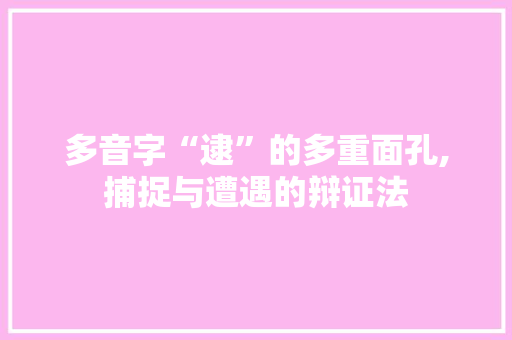 多音字“逮”的多重面孔,捕捉与遭遇的辩证法 创作范文