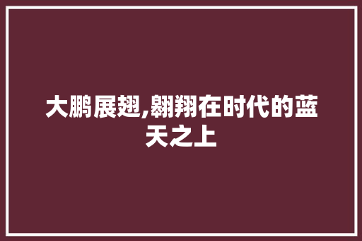 大鹏展翅,翱翔在时代的蓝天之上 财务报告范文