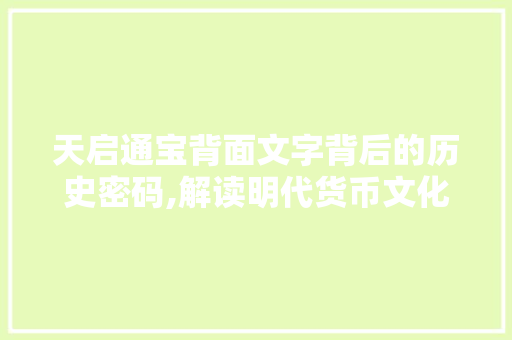 天启通宝背面文字背后的历史密码,解读明代货币文化 科技报告范文