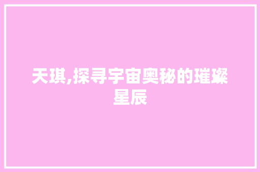 天琪,探寻宇宙奥秘的璀璨星辰 财务报告范文