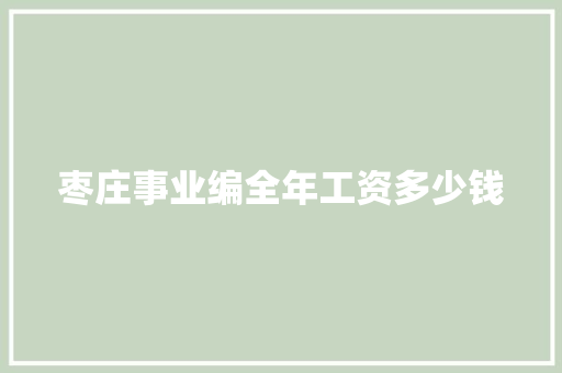 枣庄事业编全年工资多少钱
