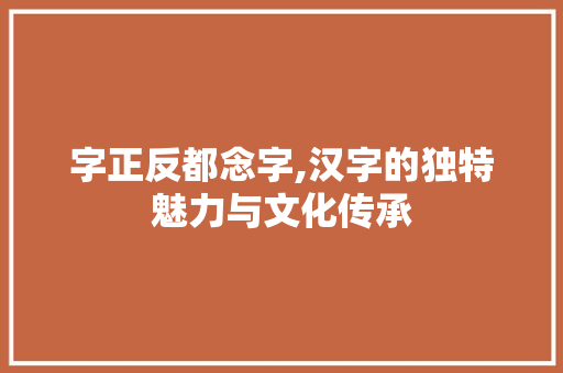 字正反都念字,汉字的独特魅力与文化传承 演讲稿范文