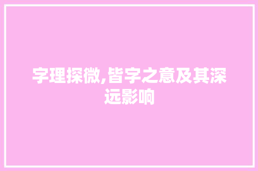 字理探微,皆字之意及其深远影响