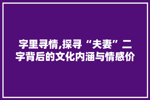 字里寻情,探寻“夫妻”二字背后的文化内涵与情感价值 职场应用