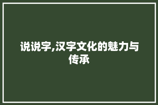 说说字,汉字文化的魅力与传承