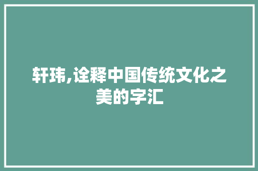 轩玮,诠释中国传统文化之美的字汇