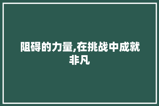 阻碍的力量,在挑战中成就非凡