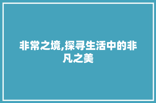 非常之境,探寻生活中的非凡之美 词句相关
