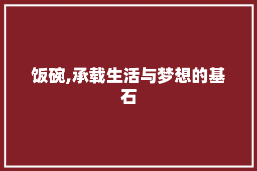 饭碗,承载生活与梦想的基石 财务报告范文